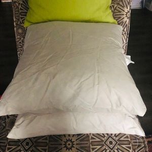 2 Duck filled pillow inserts